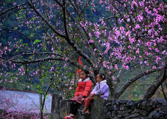 Mùa xuân Hà Giang len lỏi qua các bản làng vùng cao